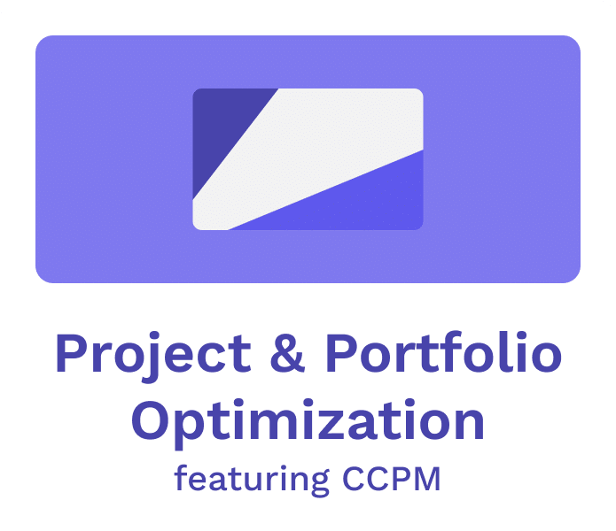 Project and portfolio optimization