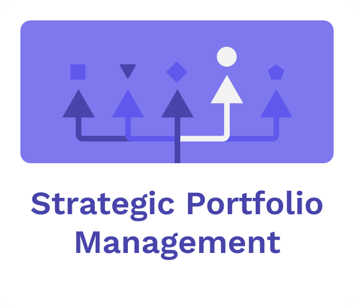 Strategic portfolio management